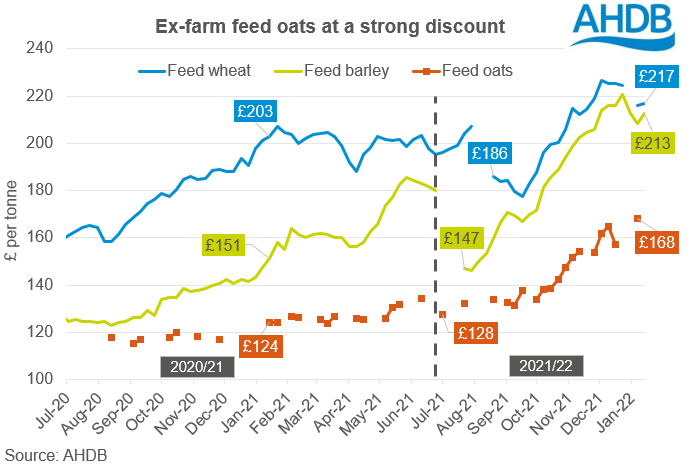 Graph displaying weekly ex-farm average UK feed grain prices (wheat, barley and maize)